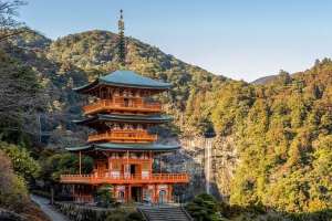 Guvernul japonez primeşte sume record de la vârstnicii fără urmaşi